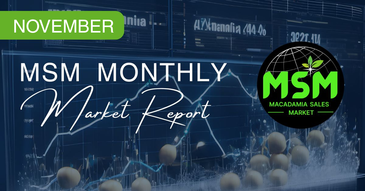 MSM Monthly Market Report – November 2025 – MSM