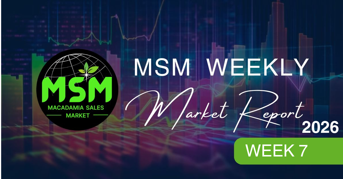 MSM Market Report: 2 – 13 February 2026 | Week 7 – MSM